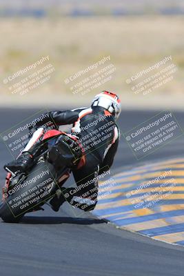 media/May-13-2023-SoCal Trackdays (Sat) [[8a473a8fd1]]/Turn 11 Backside (945am)/